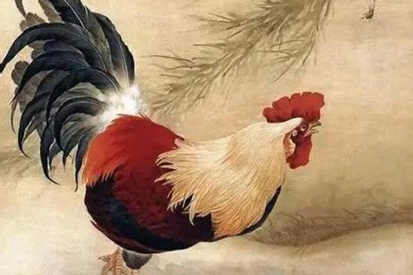 鸡人事业运势:挑战与机遇并存 鸡人事业运势:挑战与机遇并存