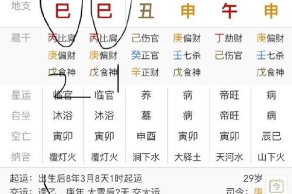 最新八字排盘软件下载,命运掌握在自己手中! 最新八字排盘软件下载,命运掌握在自己手中!