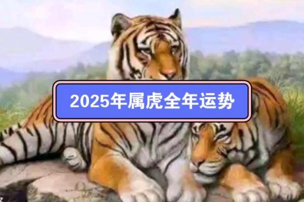 属虎人整体运势走向与挑战 属虎人整体运势走向与挑战