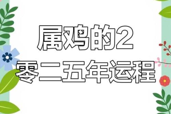 属鸡人运势预测:如何抓住机会迎接好运 属鸡人运势预测:如何抓住机会迎接好运