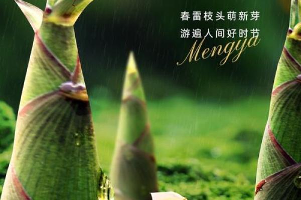 惊蛰来临，农历节气下的农业生长秘诀