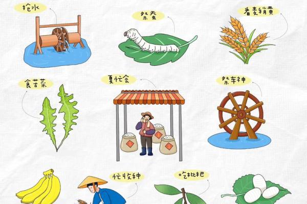 小满节气的气候特征与生活影响