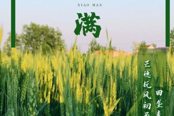 小满节气的气候特征与生活影响