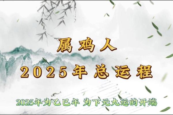 属鸡人的健康运势:如何保持身体与心理平衡 属鸡人的健康运势:如何保持身体与心理平衡