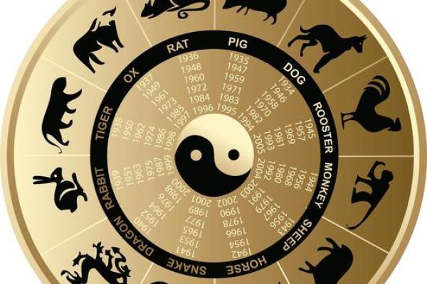 阅字的五行属性解析:揭开它的神秘面纱 阅字的五行属性解析:揭开它的神秘面纱