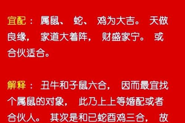 哪些生肖结婚运势最强 哪些生肖结婚运势最强