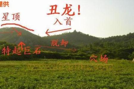如何在风水上处理坟墓围墙的布局