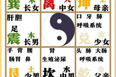 八字算命的秘密：如何通过出生日期预测人生走势