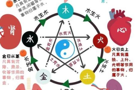木：探索五行中的生长与创新力量