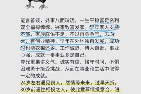 从鸡的象征意义看办公室风水布局的秘诀