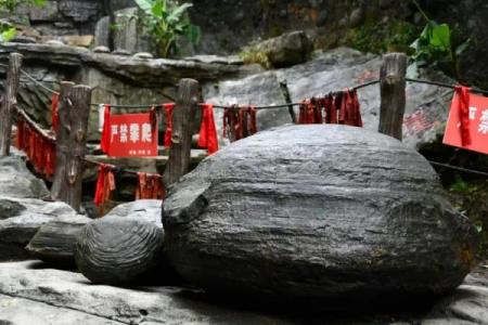 芸字五行属性解析，揭开其神秘面纱