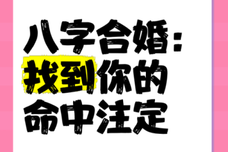 从八字看婚姻，揭秘命理合婚的关键要素