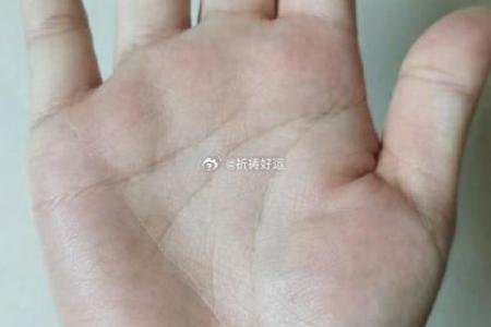 属鸡运程走势：事业与爱情的双重考验