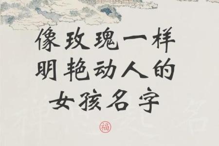 如何为五黑取一个有意义的名字