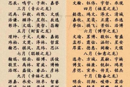 龙年男宝宝起名技巧与寓意解析