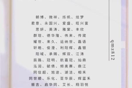 提升公司形象的秘诀：选一个好听的名字