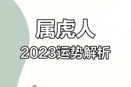 属虎人事业与财运走势预测