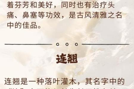 解读Harry这个名字在不同文化中的象征意义