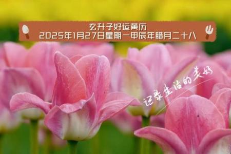 2025年黄历吉日大公开，选对日子，好运连连