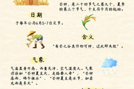 如何在芒种时节做好农业准备？农历中的秘密