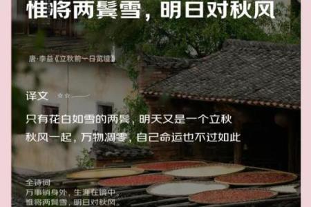 秋天的韵味：探索秋季名字背后的故事与寓意