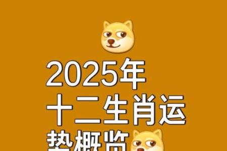 今日鼠运势分析：事业与感情的双重考验