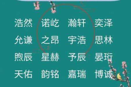 选择宝宝名字时，如何平衡传统与现代