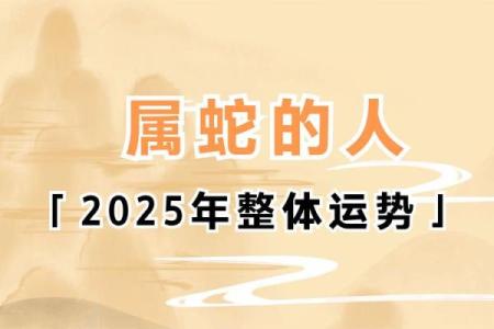 属蛇人感情运势走向与建议
