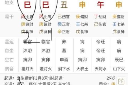 最新八字排盘软件下载，命运掌握在自己手中！