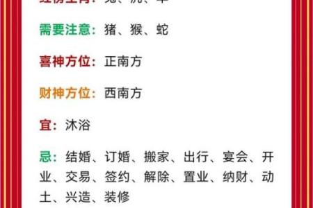 属兔事业运和财运运程分析