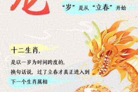 龙人运程解析