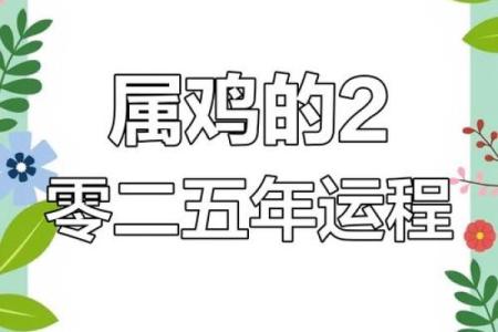 属鸡人运势预测：如何抓住机会迎接好运