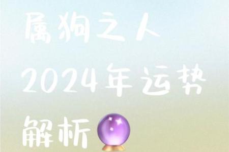 属狗人的整体运势及重要月份预测