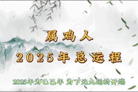 属鸡人的健康运势：如何保持身体与心理平衡
