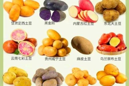 揭秘不同名字的独特魅力