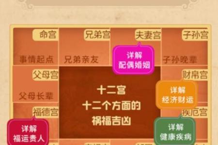 了解生辰八字运势，助你预测未来走向