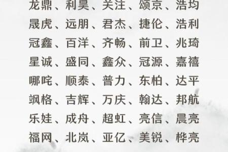 免费中介公司起名网助你轻松选取创意公司名称