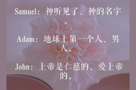 英国男生名字的选择与文化意义分析