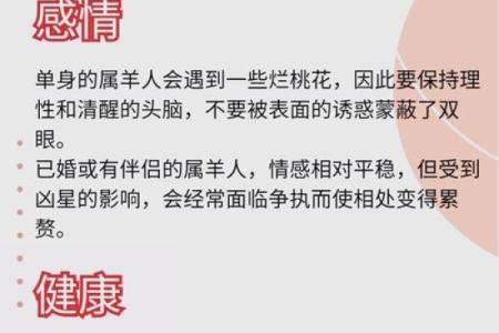 今日属羊人的幸运与挑战：如何把握机会