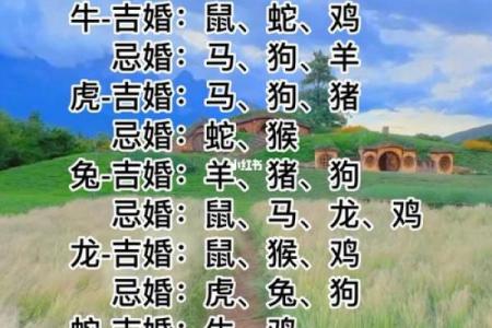 哪些生肖结婚运势最强