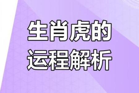属虎人农历运势解析，爱情事业皆得意