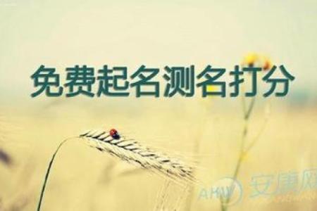 公司起名不再难，免费测名网帮你轻松搞定