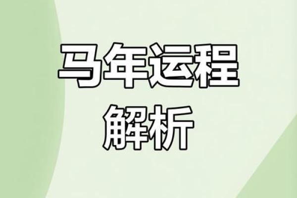 属马人运势解析:事业、财富、感情全方位分析 属马人运势解析:事业、财富、感情全方位分析