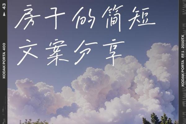 忆的名字,承载着岁月的印记 忆的名字,承载着岁月的印记
