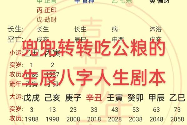 八字美妻究竟有何吸引力?解密她们的人生密码 八字美妻究竟有何吸引力?解密她们的人生密码