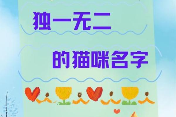 如何为女猫选择一个既可爱又有意义的名字 如何为女猫选择一个既可爱又有意义的名字
