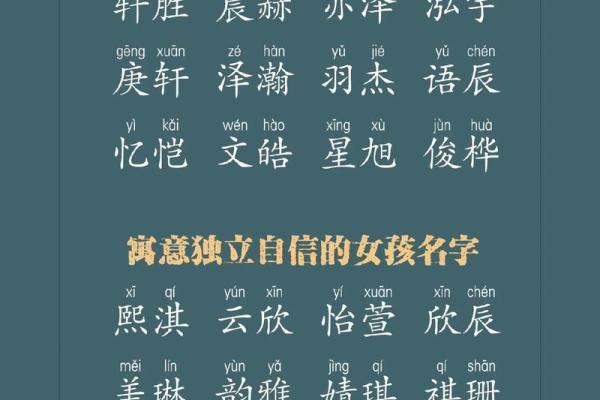 猪宝宝起名宝典,给你的宝宝取个独特名字 猪宝宝起名宝典,给你的宝宝取个独特名字