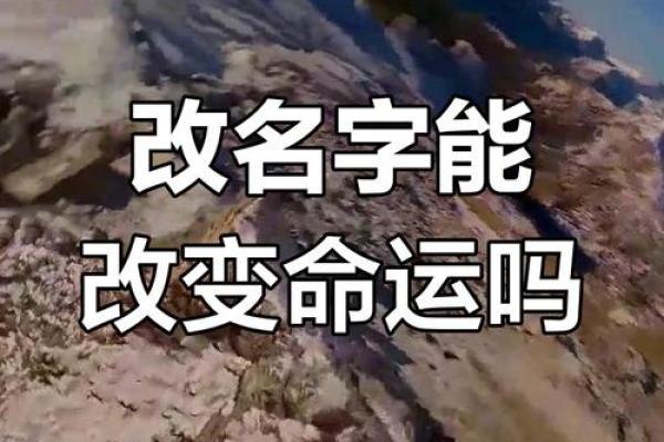 改变名字,改变命运?探索名字与性格的关联 改变名字,改变命运?探索名字与性格的关联