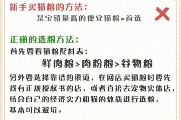 给猫宝宝起名字时需要避免的常见误区 给猫宝宝起名字时需要避免的常见误区