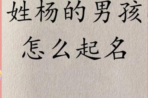 为杨姓宝宝选择合适名字的五个关键点 为杨姓宝宝选择合适名字的五个关键点